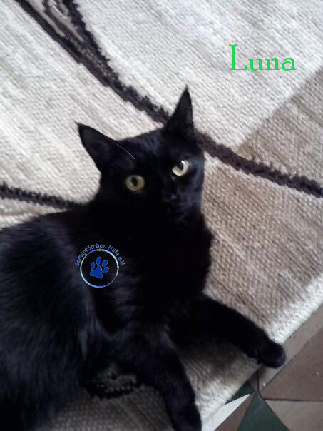 Bilder_Name/201705/Luna18 mit Namen.jpg